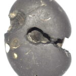Sita Rama Shaligram