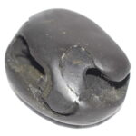 Kamsa Mardana Shaligram