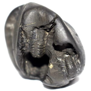 Sacred Adwaitya Pratyangira Devi Shaligram