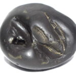 Trimurti Shaligram