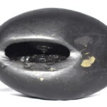 Shankara Narayana Shaligram
