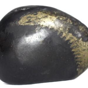 Auspicious Golden Samundra Manthan Shaligram Shilla