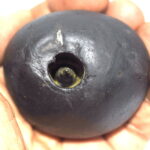 Harihara Shaligram