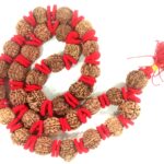 Rare 7 Mukhi Ganesha Rudraksha Kantha - Collector Size