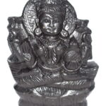 Goddess Laxmi Idol On Natural Golden Sudarshan Shaligram