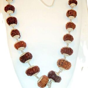 Rudraksha Sarva Siddha Mala - Nepal / Combination of 1 till 16 Mukhi Rudraksha With Gauri Shankar And Ganesha Rudraksha