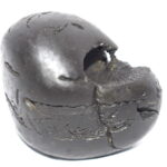 Hayagriva Shaligram