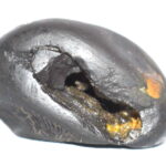 VanaRama Shaligram