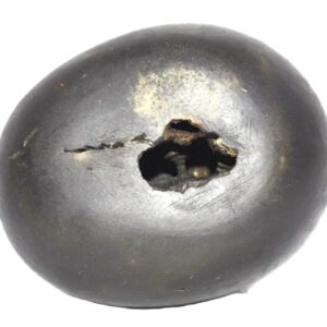 Adhokshaja Shaligram