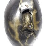 Sacred Adwaitya Golden Bhadra Chamunda Mahakali Shaligram