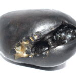 Kalki Shaligram