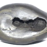 DamshtriKarala Narsimha Shaligram