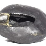 Damodar Shaligram