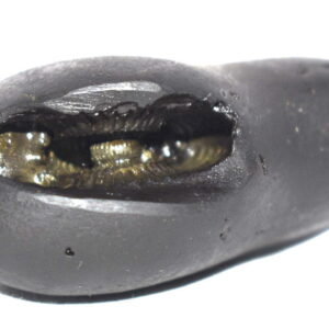 Matsya Shaligram