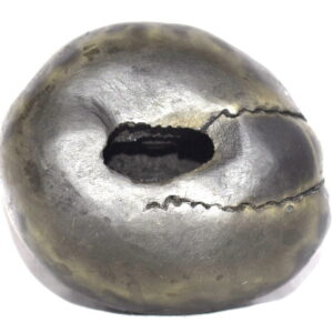 Damodar Shaligram