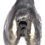 Sacred Adwaitya Golden Kamal Laxmi Narayan Shaligram