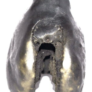 Sacred Adwaitya Golden Kamal Laxmi Narayan Shaligram