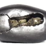 Vasudeva Shaligram