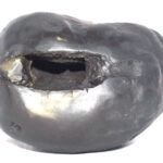 GarudaDadhvaja Shaligram