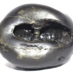 VataPatrashayi Shaligram