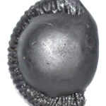 Adwaitya Golden Laxmi Kalpavriksha Vanamala Maha Ganesha Shaligram