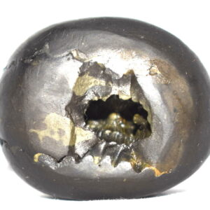 Haihaya Shaligram