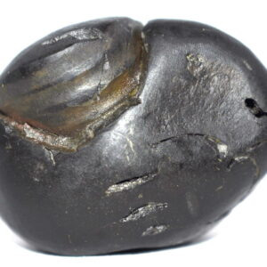 Shankara Narayana Shaligram
