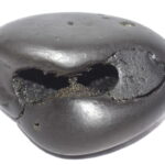 Yoga Narsimha Shaligram