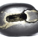 Padmanabha Shaligram