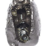 Sacred Adwaitya Shweta Crystal Kamal Golden Bhur Bhavas Gayatri Vaikuntha Shaligram