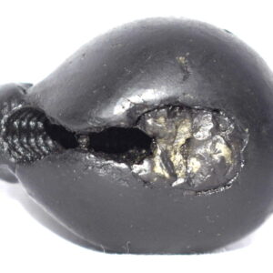 Varaha Shaligram / Shyamala Varaha Salagram