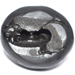 Yoga Narsimha Shaligram