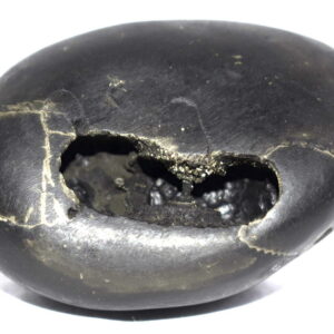 PundariKaksha Shaligram