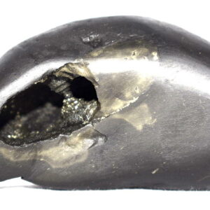 Laxmi Bhu Varaha Shaligram