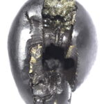 Sacred Adwaitya Pratyangira Devi Golden Mahakali Shaligram