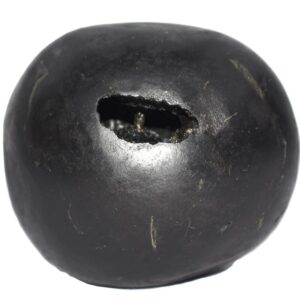 Janardhana Shaligram