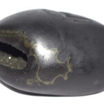 Sacred Adwaitya Golden Garuda Laxmi Narayan Shaligram