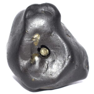 Sacred Adwaitya AadiShakti Golden ChandraMauli Shivlinga Shaligram