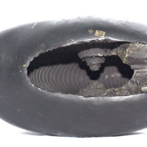 Rare Big Size Laxmi Bhu Varaha Shaligram
