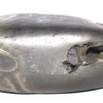 Janardhana Shaligram
