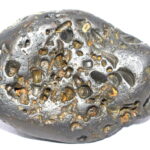 VishvaRupa Shaligram