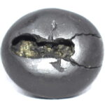 Yoga Narsimha Shaligram