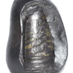 Sacred Adwaitya Golden MahaShakti Tripura Shivlinga Shaligram