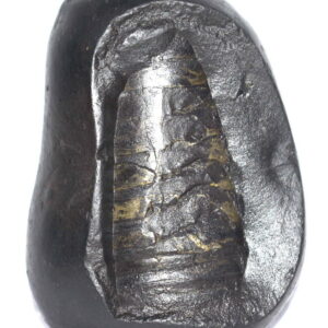 Sacred Adwaitya Golden MahaShakti Tripura Shivlinga Shaligram