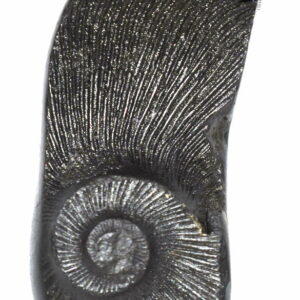 Auspicious Krishna Vishnu Paduka
