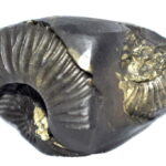 Keshav Shaligram