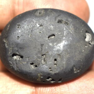 VishvaRupa Shaligram