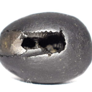 Shridhara Shaligram