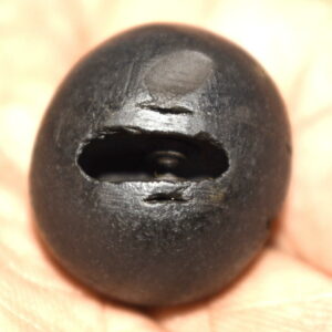 Vaman Shaligram
