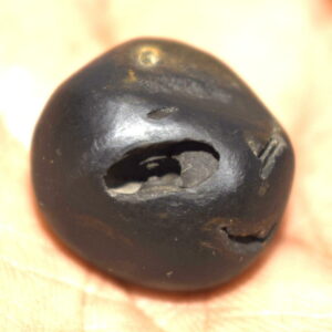 Parshurama Shaligram
